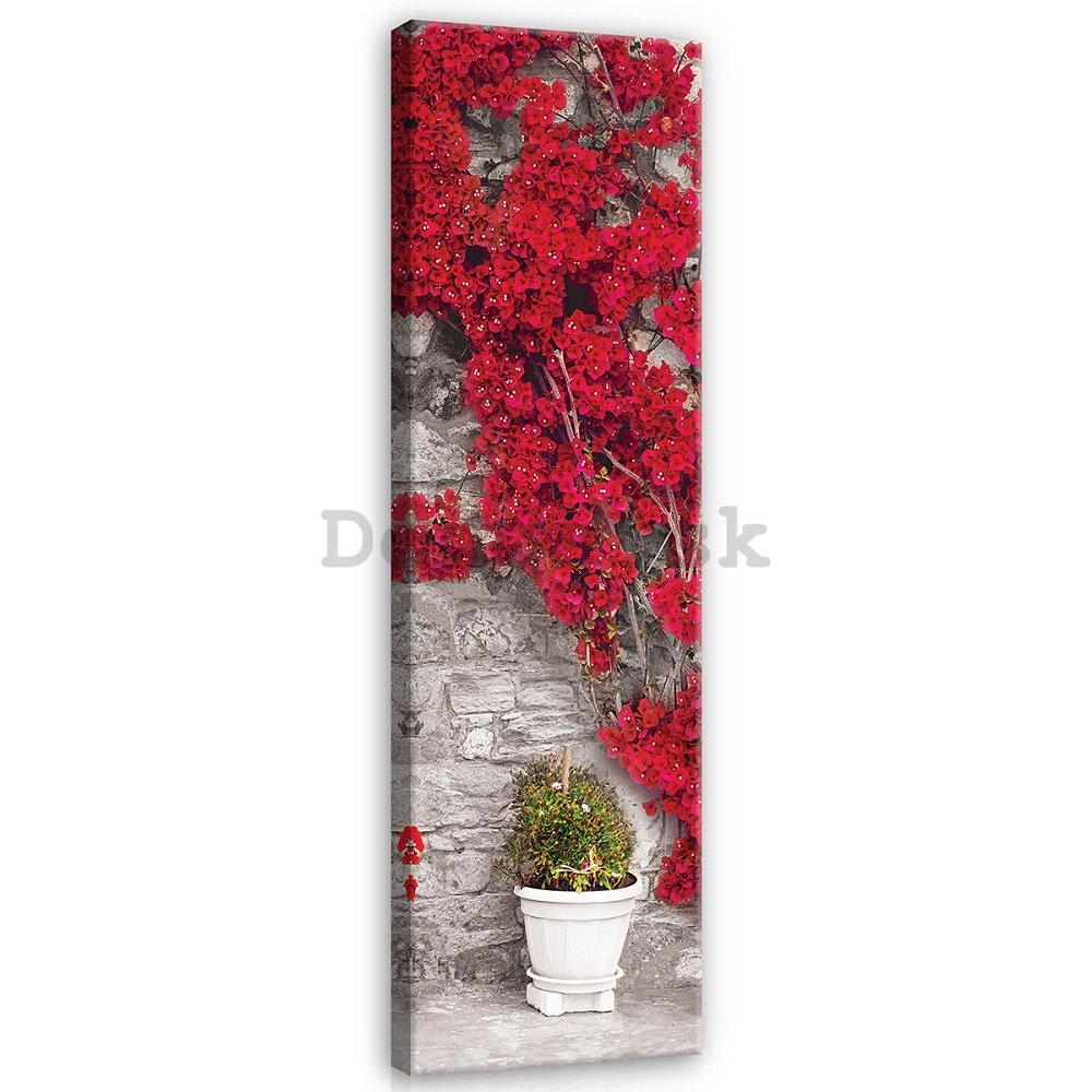 Obraz na plátne: Červená kvetinová múr - 145x45 cm