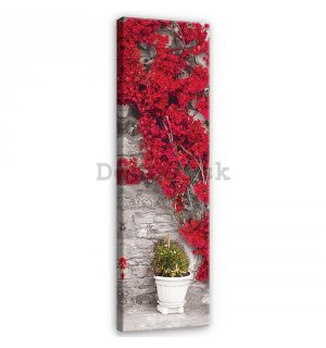 Obraz na plátne: Červená kvetinová múr - 145x45 cm