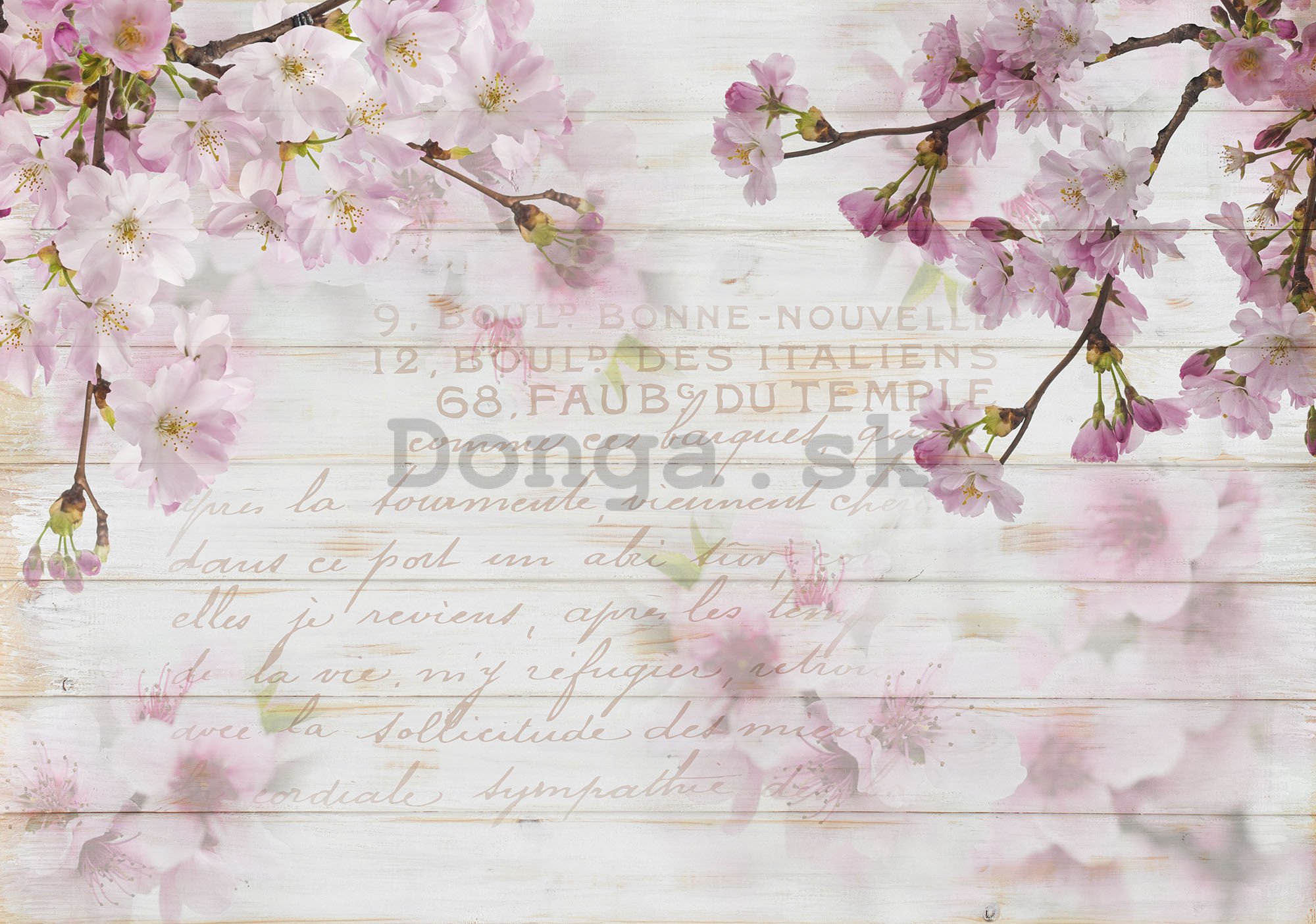 Fototapeta vliesová: Čerešňové kvety (1) - 184x254 cm