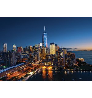 Fototapeta vliesová: New York City (1) - 104x152,5 cm