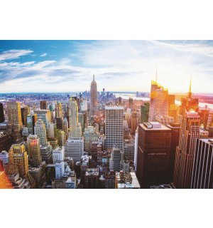 Fototapeta vliesová: Manhattan (4) - 104x152,5 cm