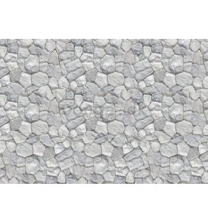 Fototapeta: Kamenná múr (9) - 184x254 cm
