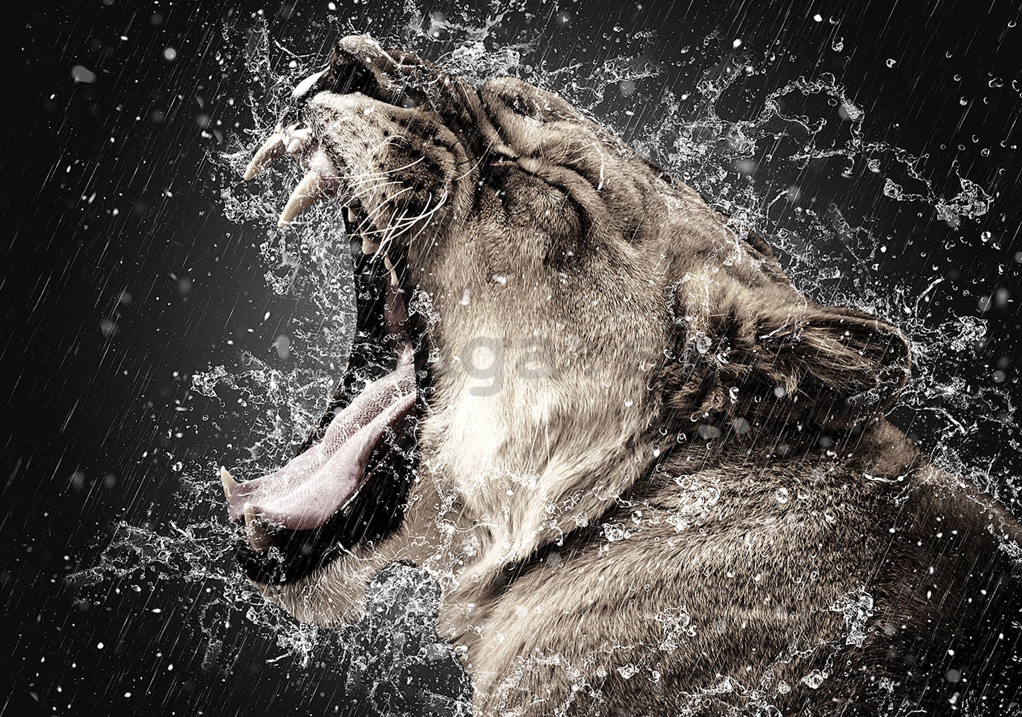 Fototapeta vliesová: Animal roar (1) - 254x368 cm