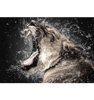 Fototapeta vliesová: Animal roar (1) - 104x152,5 cm