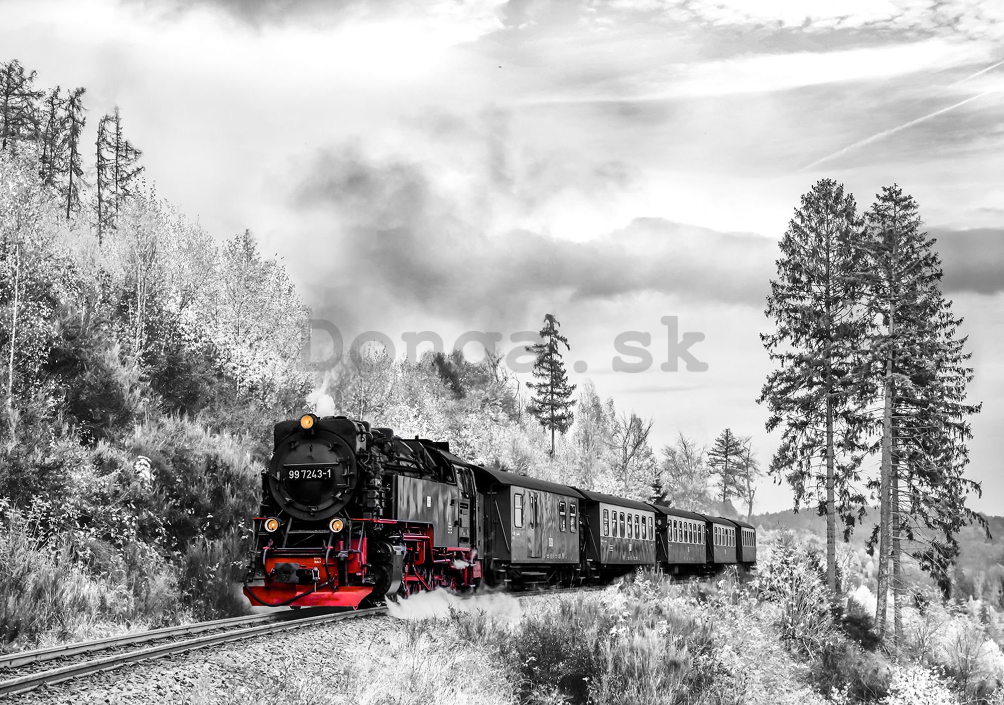 Fototapeta: Parná lokomotíva (2) - 184x254 cm