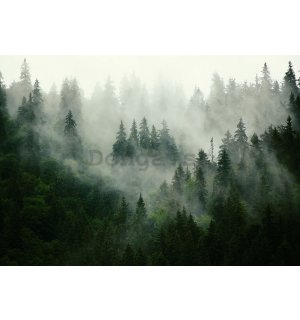 Fototapeta vliesová: Hmla nad lesom (1) - 184x254 cm