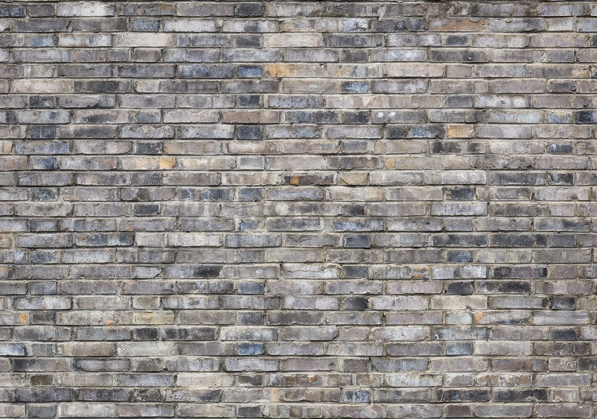 Fototapeta: Tehlová múr (5) - 254x368 cm