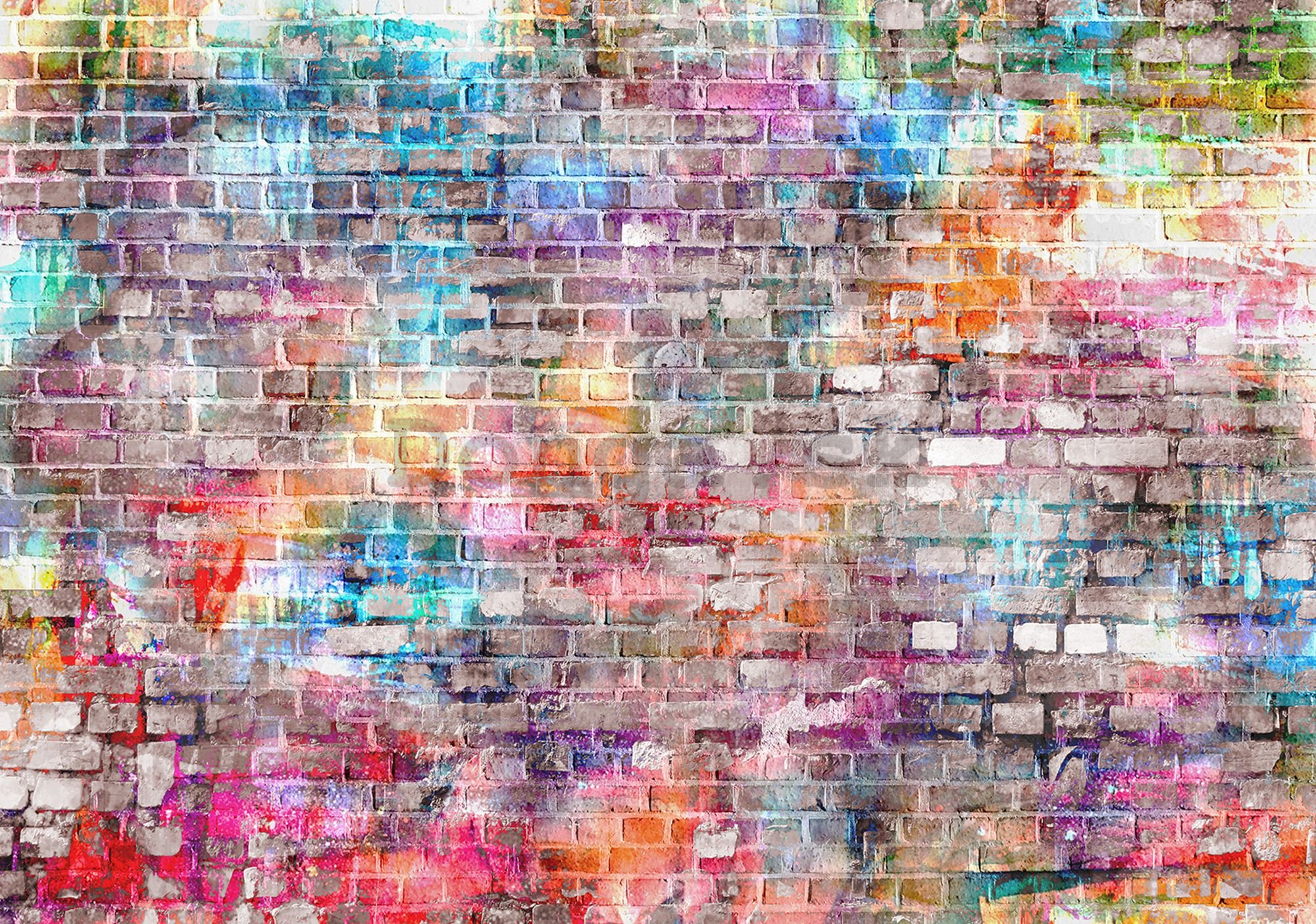 Fototapeta vliesová: Farebný múr (2) - 184x254 cm