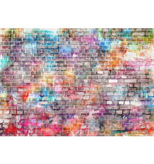 Fototapeta vliesová: Farebný múr (2) - 254x368 cm