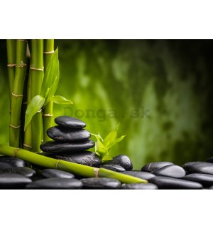 Fototapeta vliesová: Zen (4) - 184x254 cm
