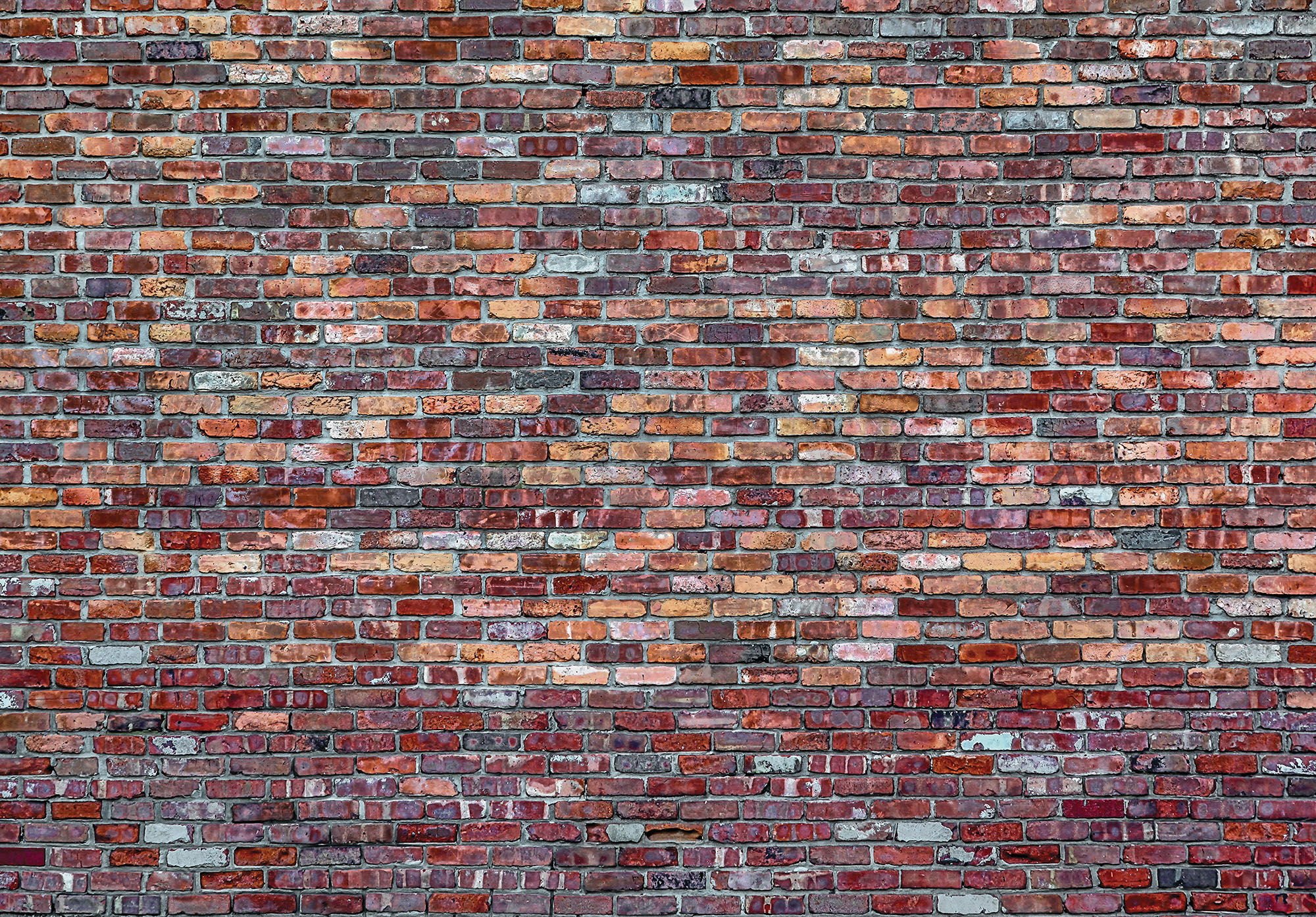 Fototapeta vliesová: Tehlová múr (4) - 184x254 cm