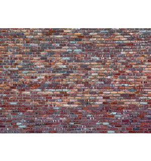 Fototapeta vliesová: Tehlová múr (4) - 184x254 cm