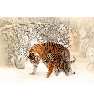 Fototapeta vliesová: Tigre (1) - 254x368 cm