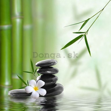 Obraz na skle - Bambusový zen