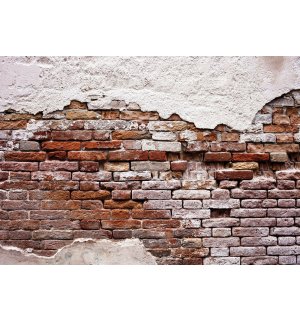 Fototapeta vliesová: Stará murovaná stena - 416x254 cm