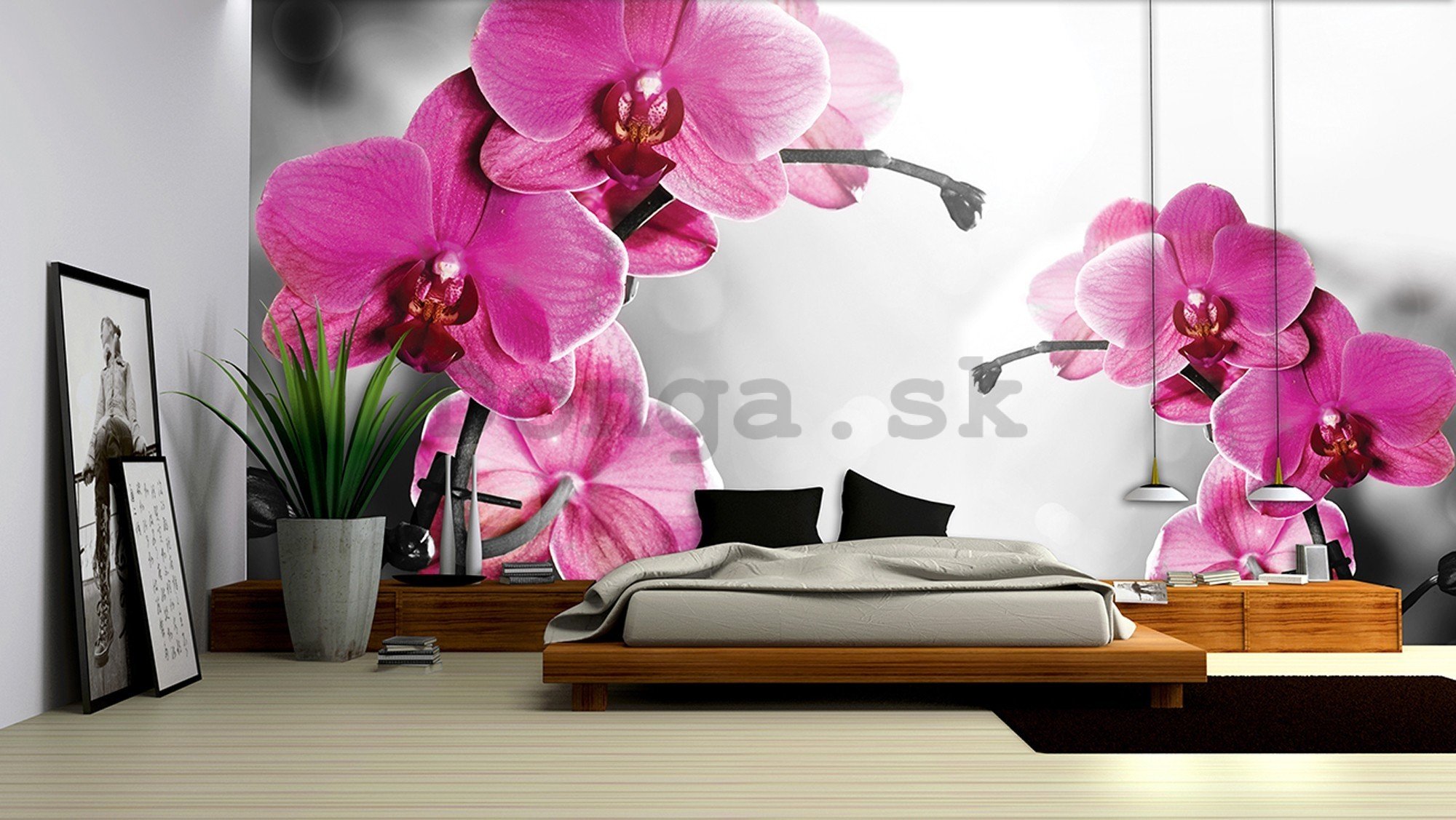 Fototapeta vliesová: Orchidea na sivom pozadí - 416x254 cm