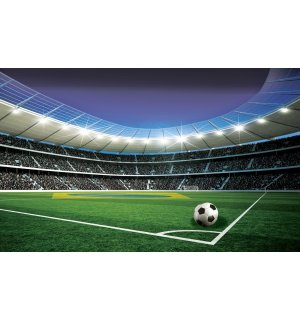 Fototapeta vliesová: Futbalový štadión (5) - 416x254 cm
