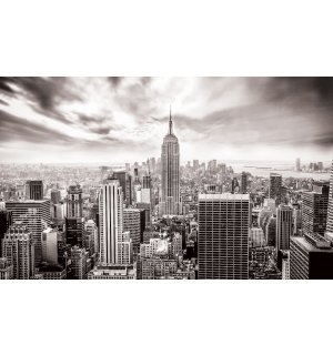 Fototapeta vliesová: Pohľad na New York (čiernobiela) - 416x254 cm