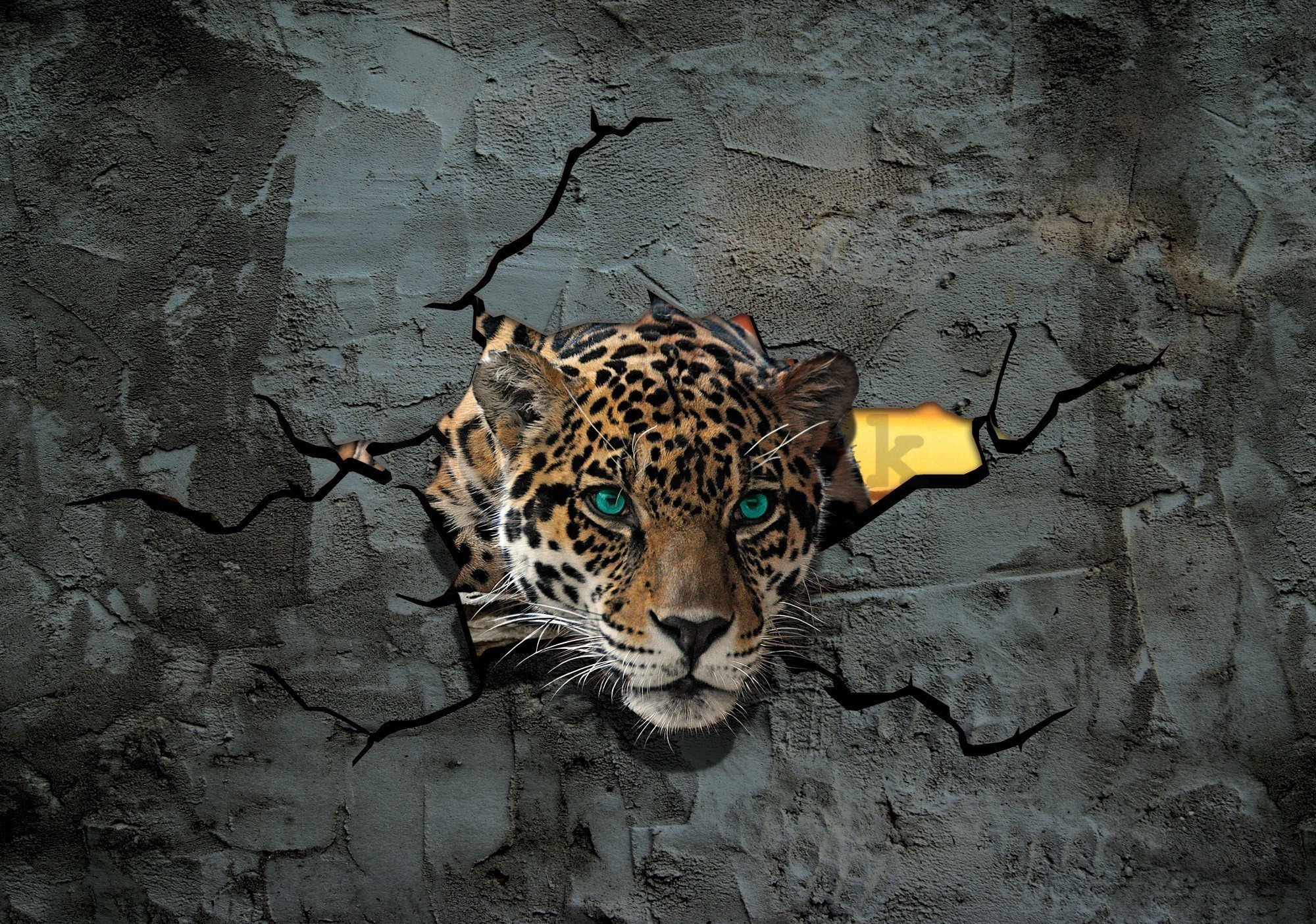 Fototapeta vliesová: Gepard v stene - 416x254 cm