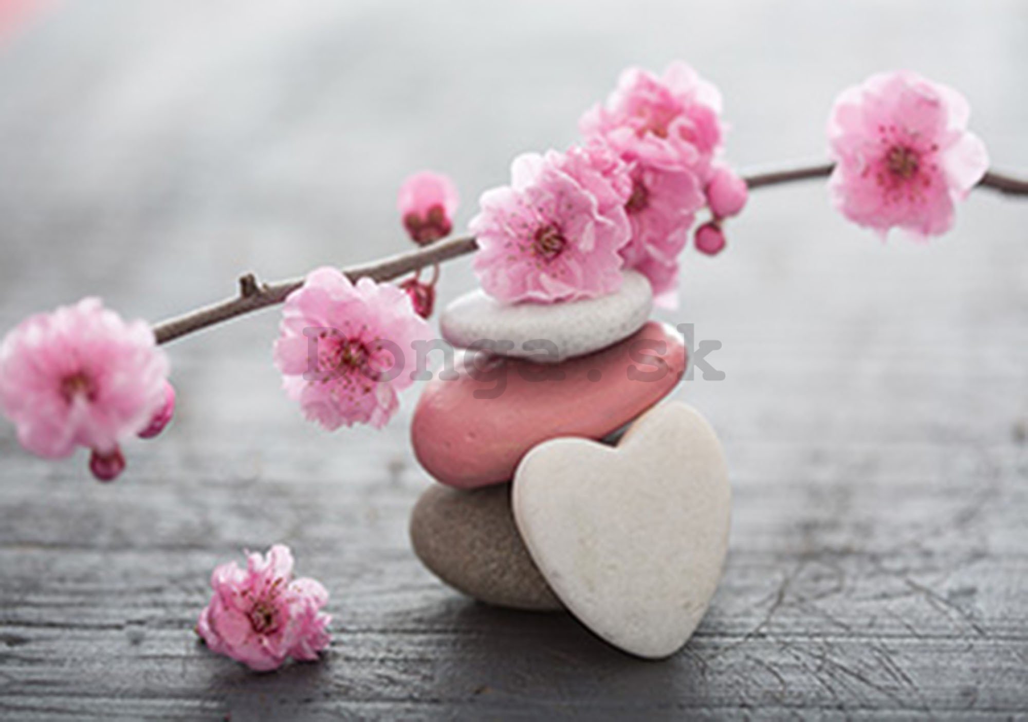 Fototapeta vliesová: Kvitnúce čerešňa a srdce - 416x254 cm