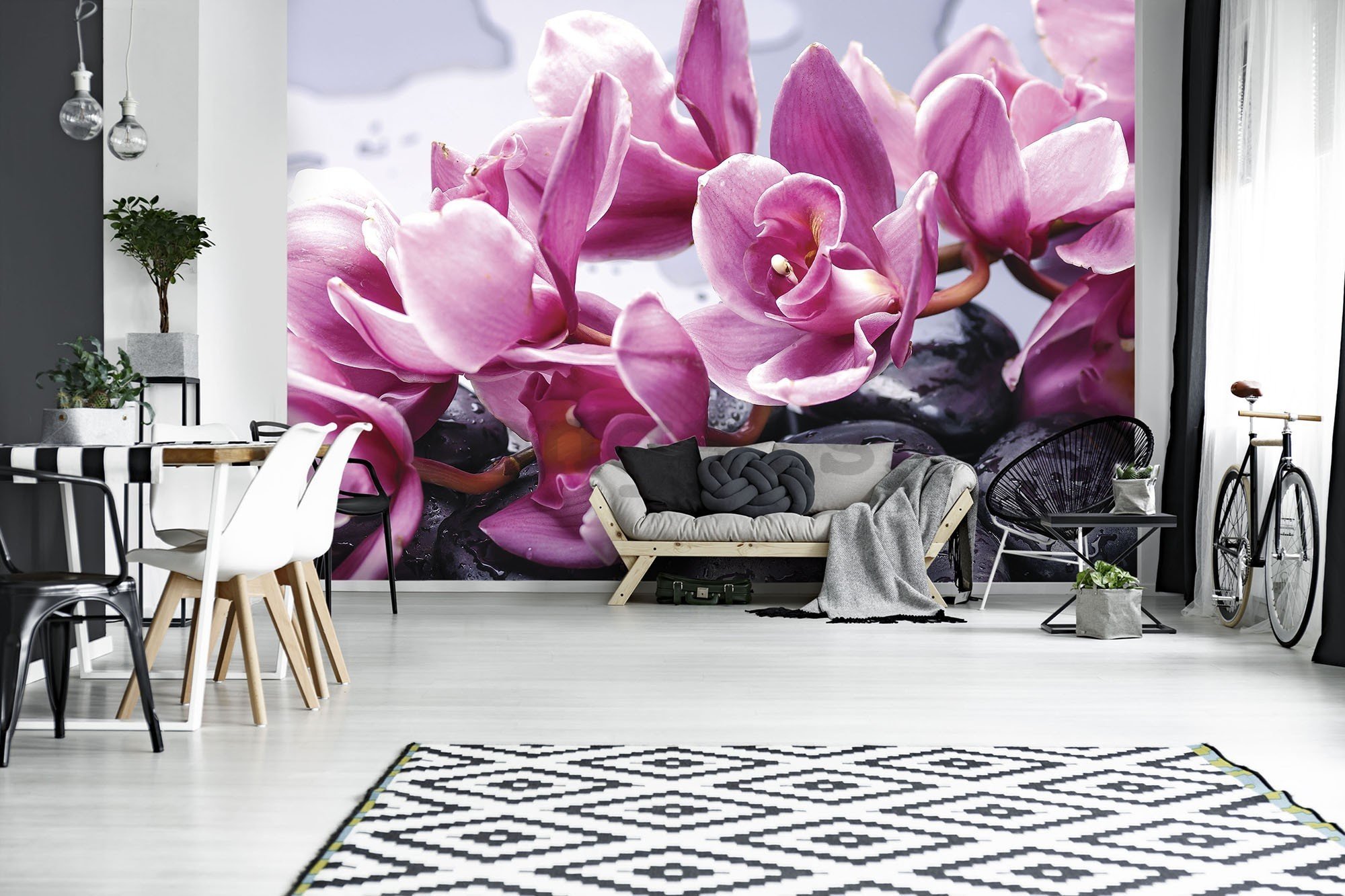 Fototapeta vliesová: Kúpeľné kamene a ružové orchidey - 416x254 cm