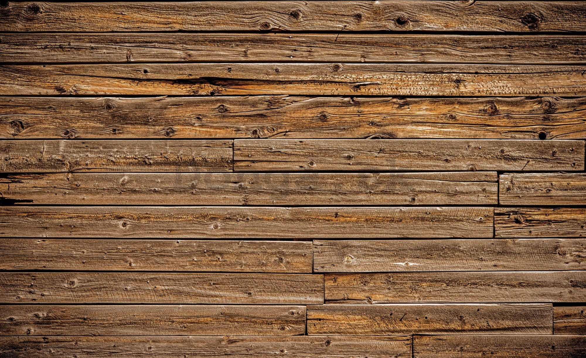 Fototapeta vliesová: Drevená múr - 416x254 cm