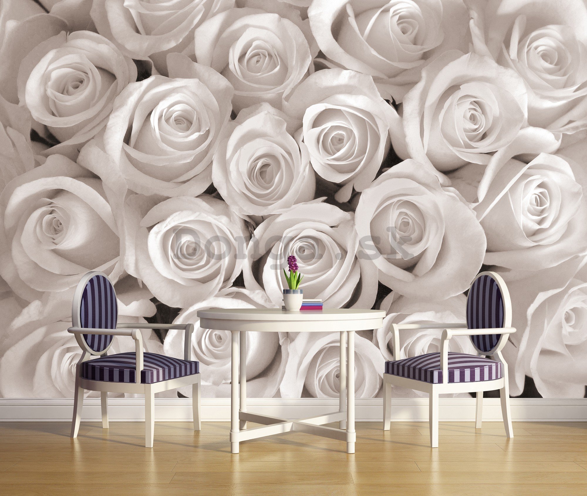 Fototapeta vliesová: Biela ruža - 416x254 cm