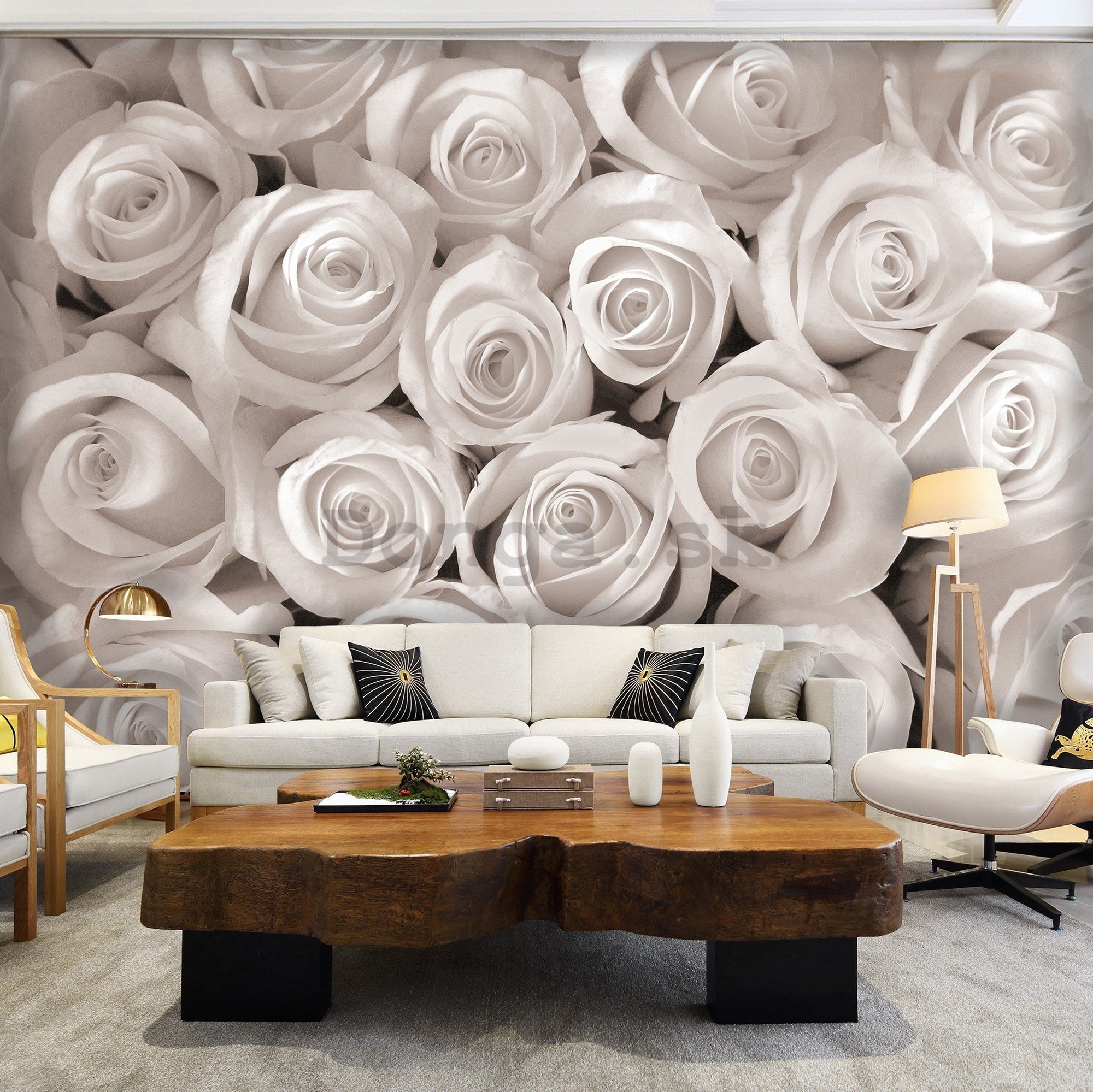 Fototapeta vliesová: Biela ruža - 416x254 cm