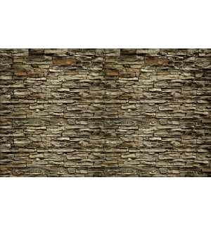 Fototapeta vliesová: Kamenná múr (4) - 416x254 cm