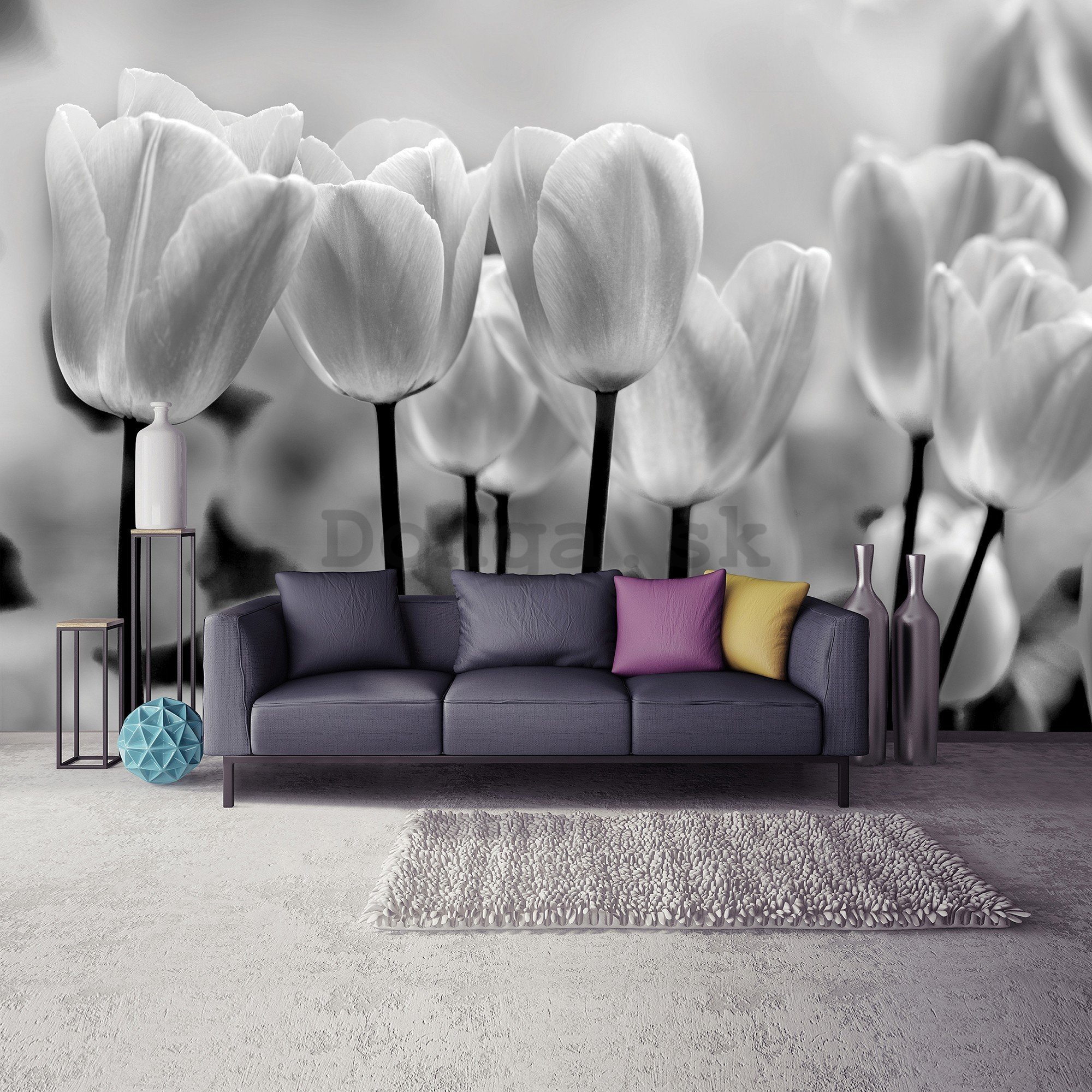 Fototapeta vliesová: Biele a Čierne Tulipány - 416x254 cm