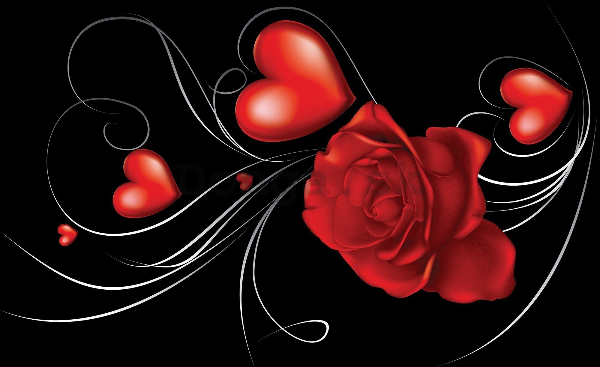 Fototapeta vliesová: Ruže a Srdce - 416x254 cm