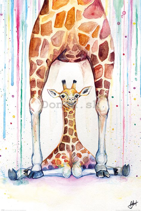 Plagát - Gorgeous Giraffes, Marc Allante