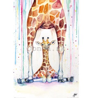 Plagát - Gorgeous Giraffes, Marc Allante