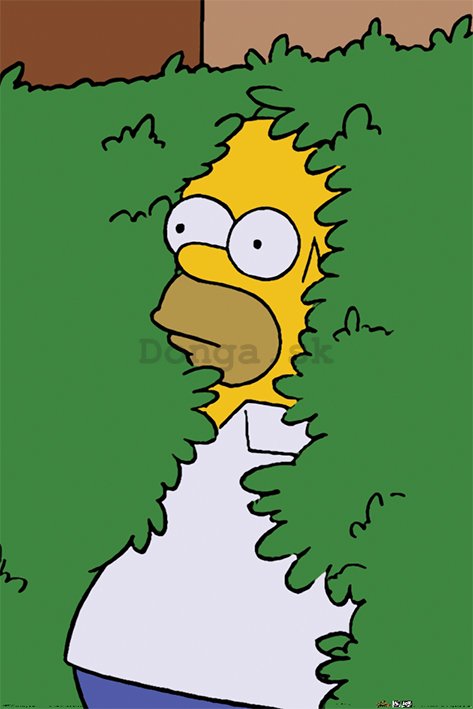 Plagát - The Simpsons (Homer Bush)