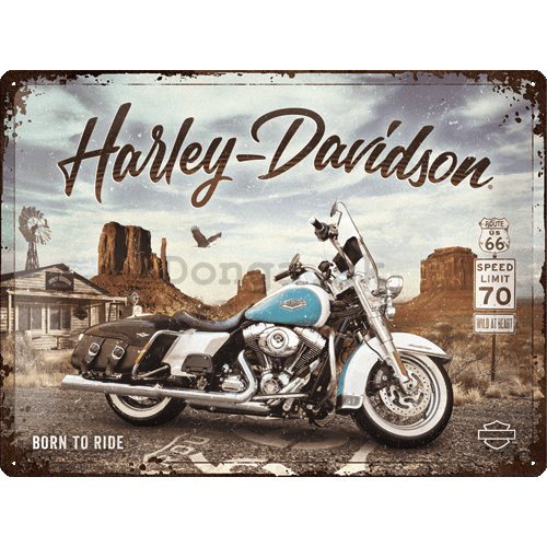 Plechová ceduľa: Harley-Davidson (King of Route 66) - 40x30 cm