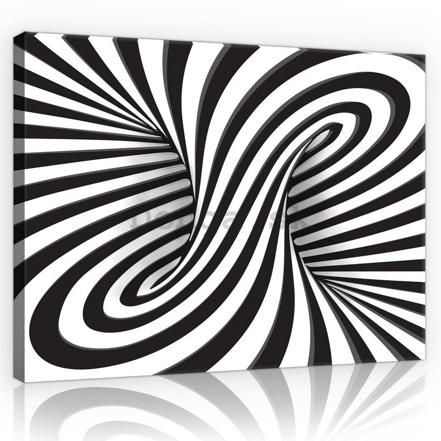 Obraz na plátne: Pruhovaná ilúzie (1) - 75x100 cm