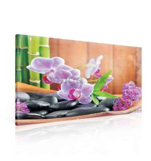 Obraz na plátne: Orchidea (1) - 75x100 cm