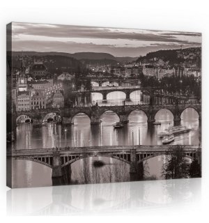 Obraz na plátne: Praha (čiernobiela) - 75x100 cm