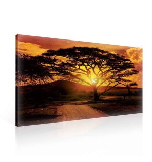 Obraz na plátne: Africký západ slnka - 75x100 cm