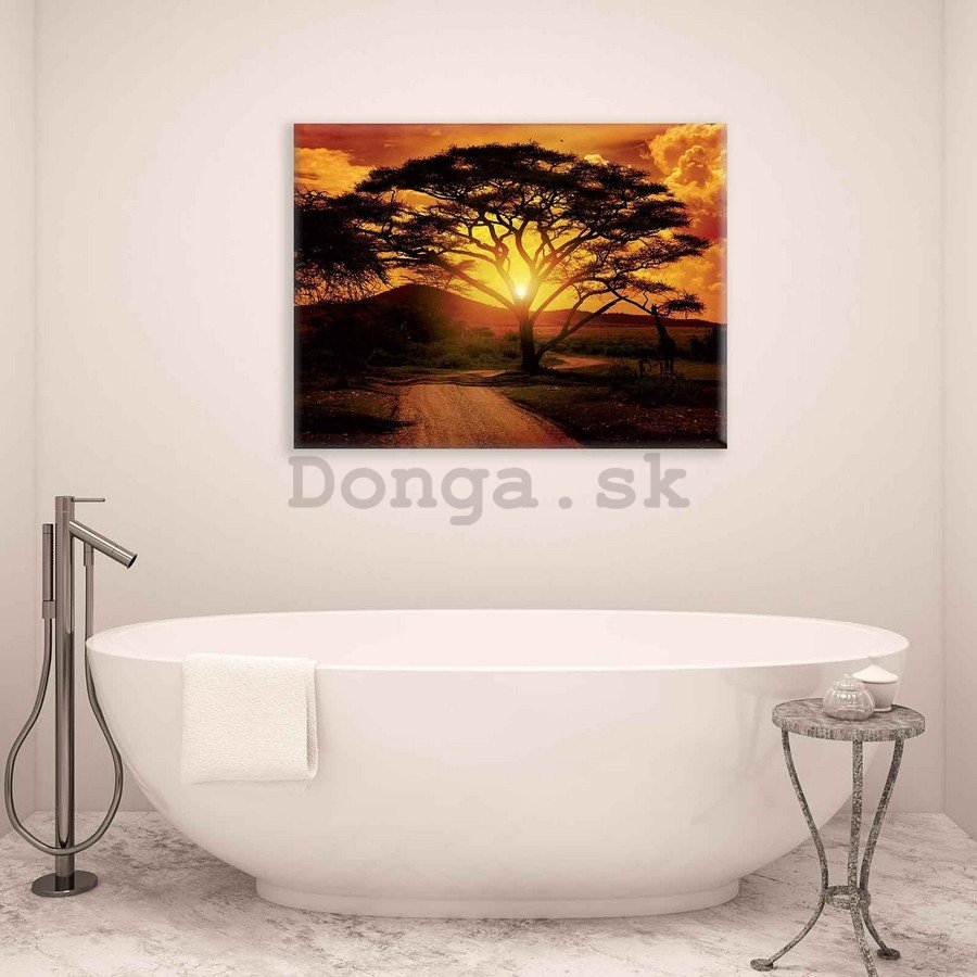 Obraz na plátne: Africký západ slnka - 75x100 cm