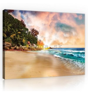 Obraz na plátne: Raj na pláži (2) - 75x100 cm