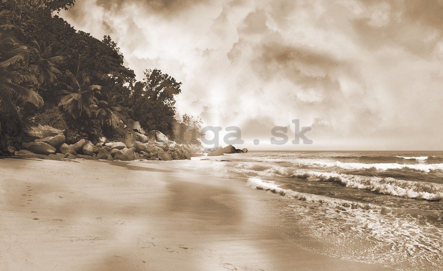 Obraz na plátne: Raj na pláži (sépiové) - 75x100 cm