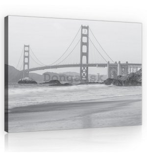 Obraz na plátne: Golden Gate Bridge (čiernobiely) - 75x100 cm