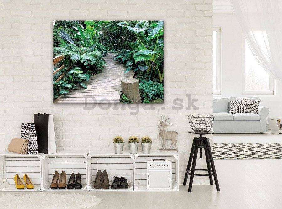 Obraz na plátne: Chodník medzi papradím - 75x100 cm