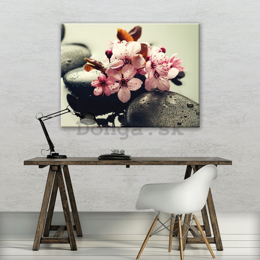 Obraz na plátne: Zen a kvety - 75x100 cm