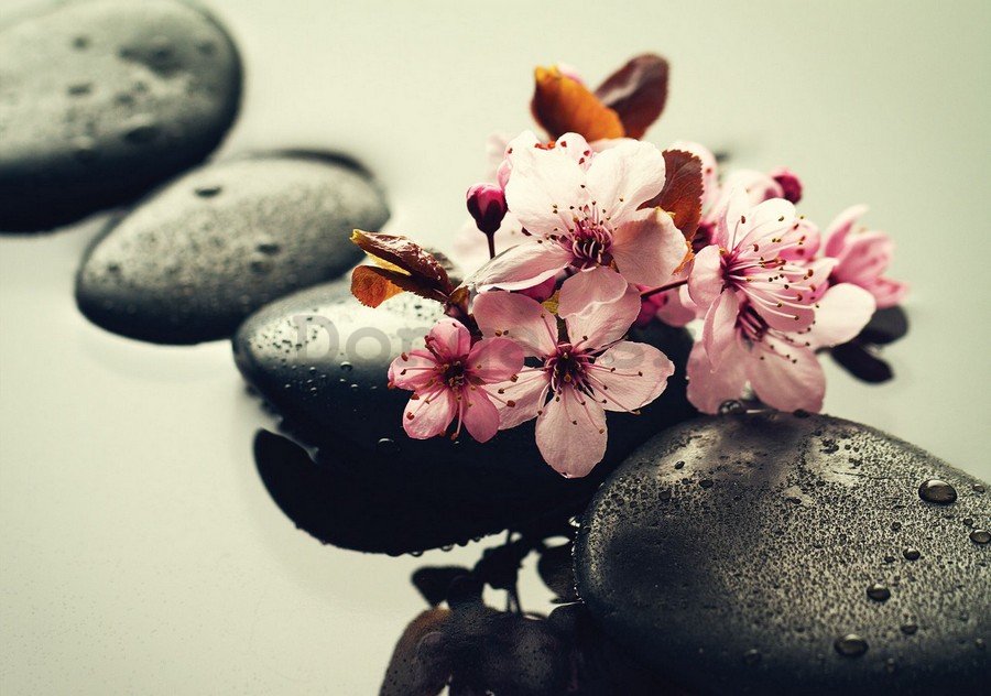 Obraz na plátne: Zen a kvety - 75x100 cm