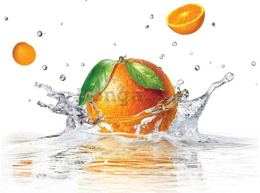 Obraz na plátne: Pomaranče - 75x100 cm