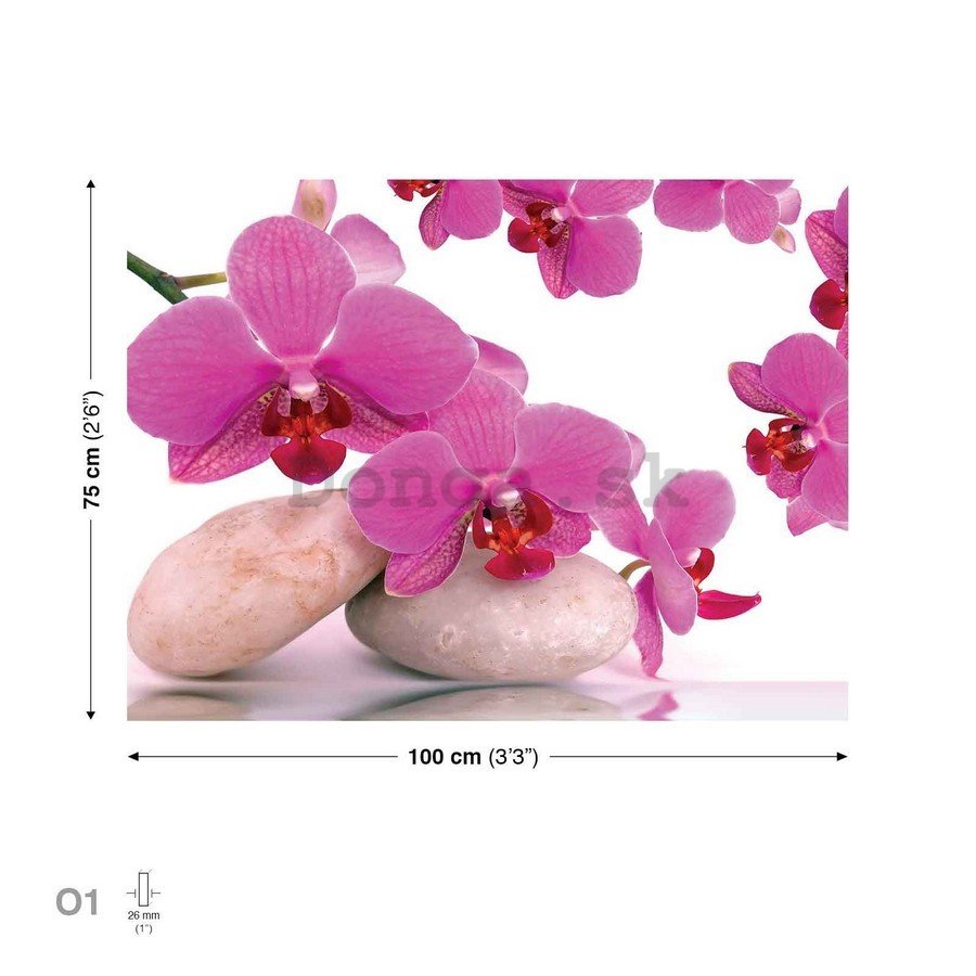 Obraz na plátne: Orchidea a kamene - 75x100 cm