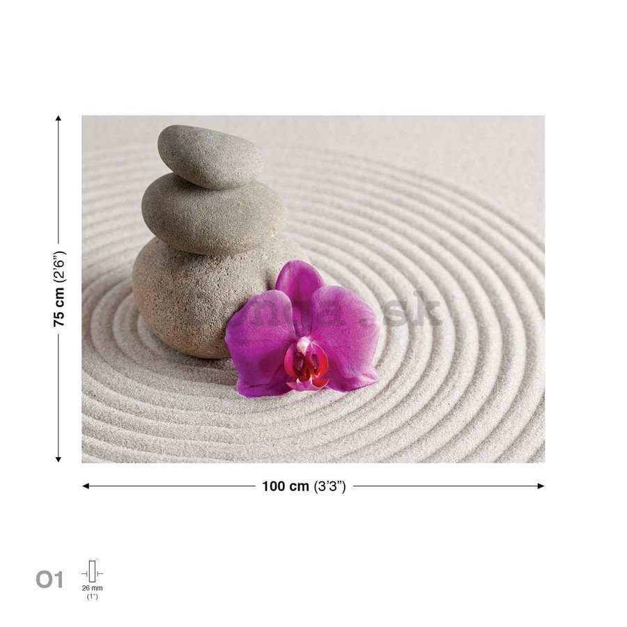 Obraz na plátne: Kúpeľné kamene a orchidea - 75x100 cm