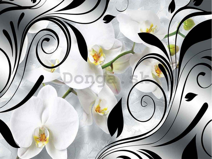 Obraz na plátne: Biele orchidey a abstrakcie - 75x100 cm